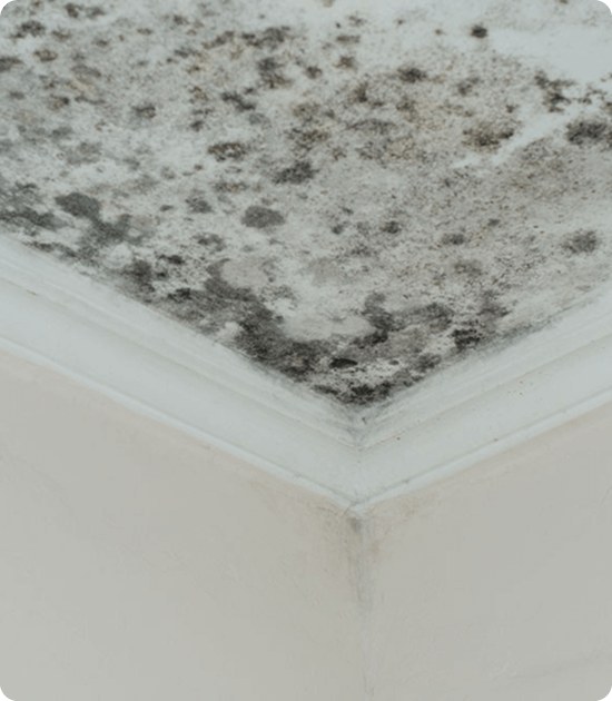 Warped baseboards or flooring near moisture sources img