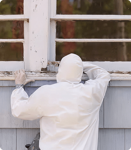Complete Mold remediation service From Detection to Cleanup img