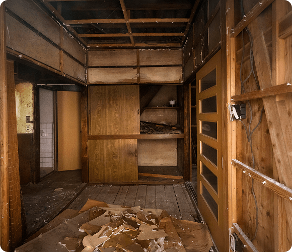 Ceiling Removal img