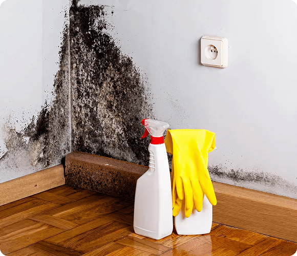 Mold Inspection & Testing img