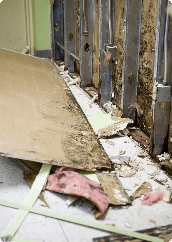 Professional Water Damage Asbestos Abatement: The Complete Safety Guide img