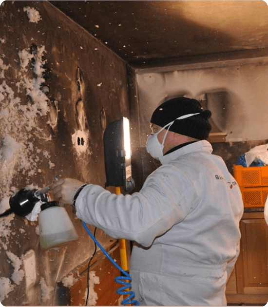 Water Damage Asbestos Abatement Experts & Professionals img
