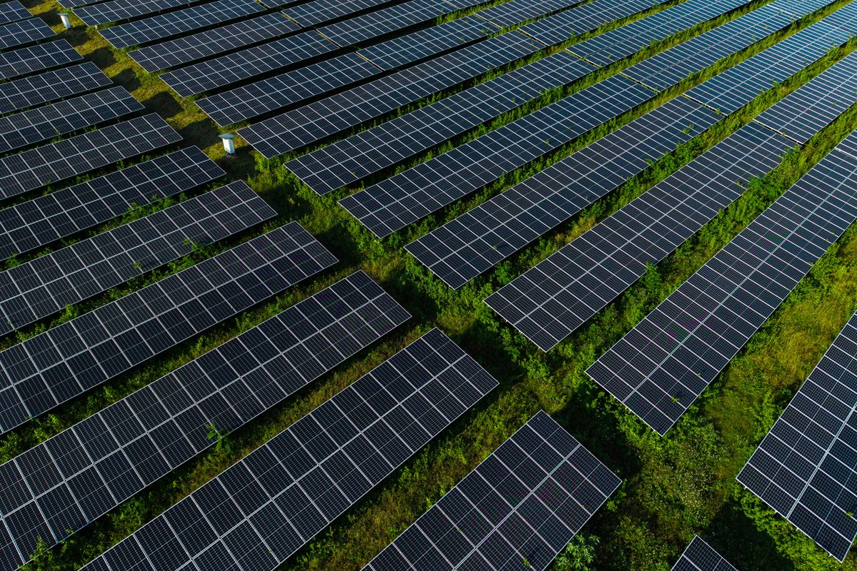 solar panels in a field