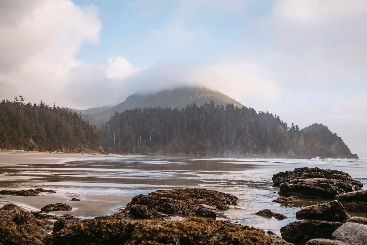 Misty coastline in the PNW