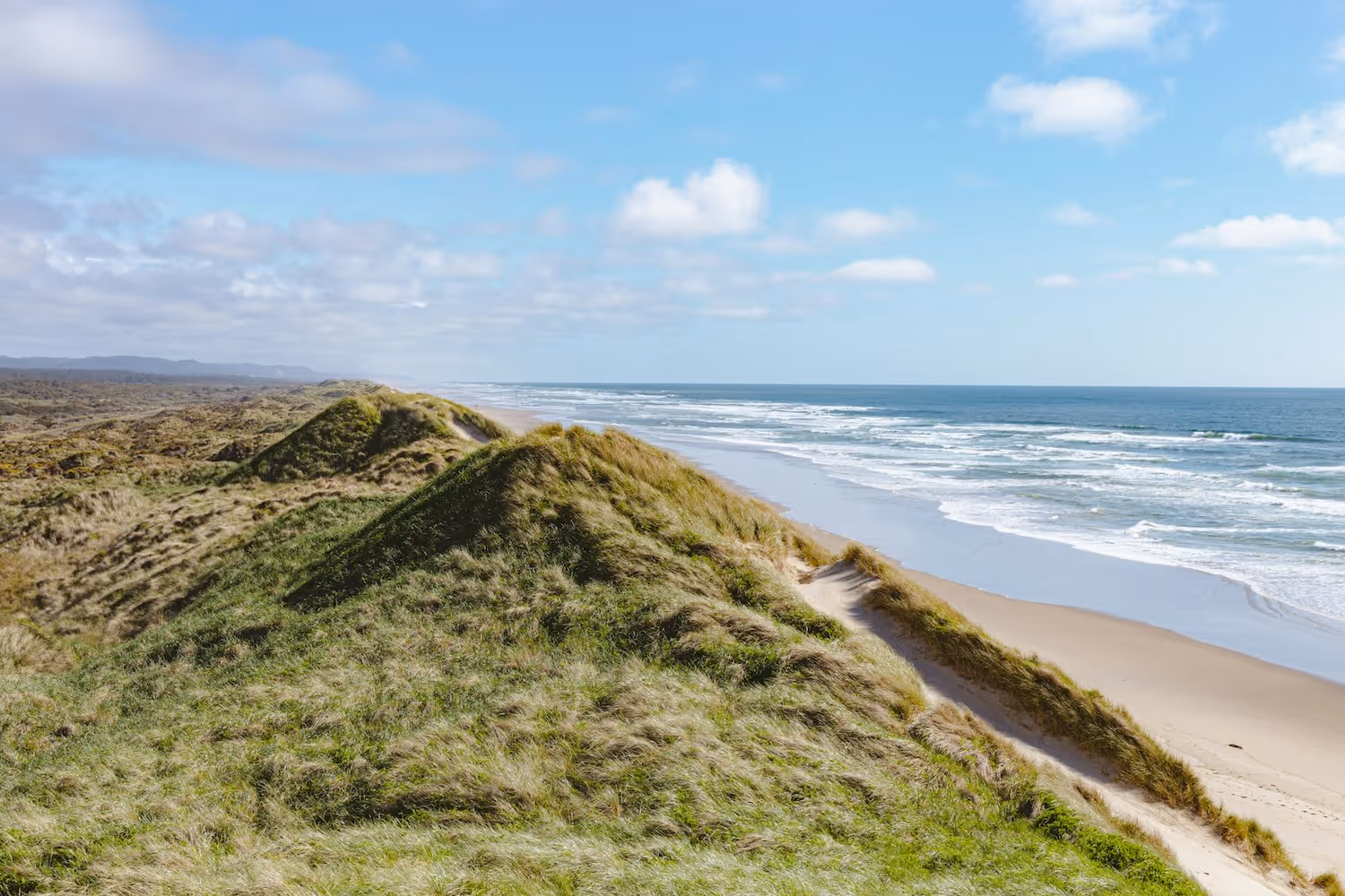 Grassy dunes by the beach