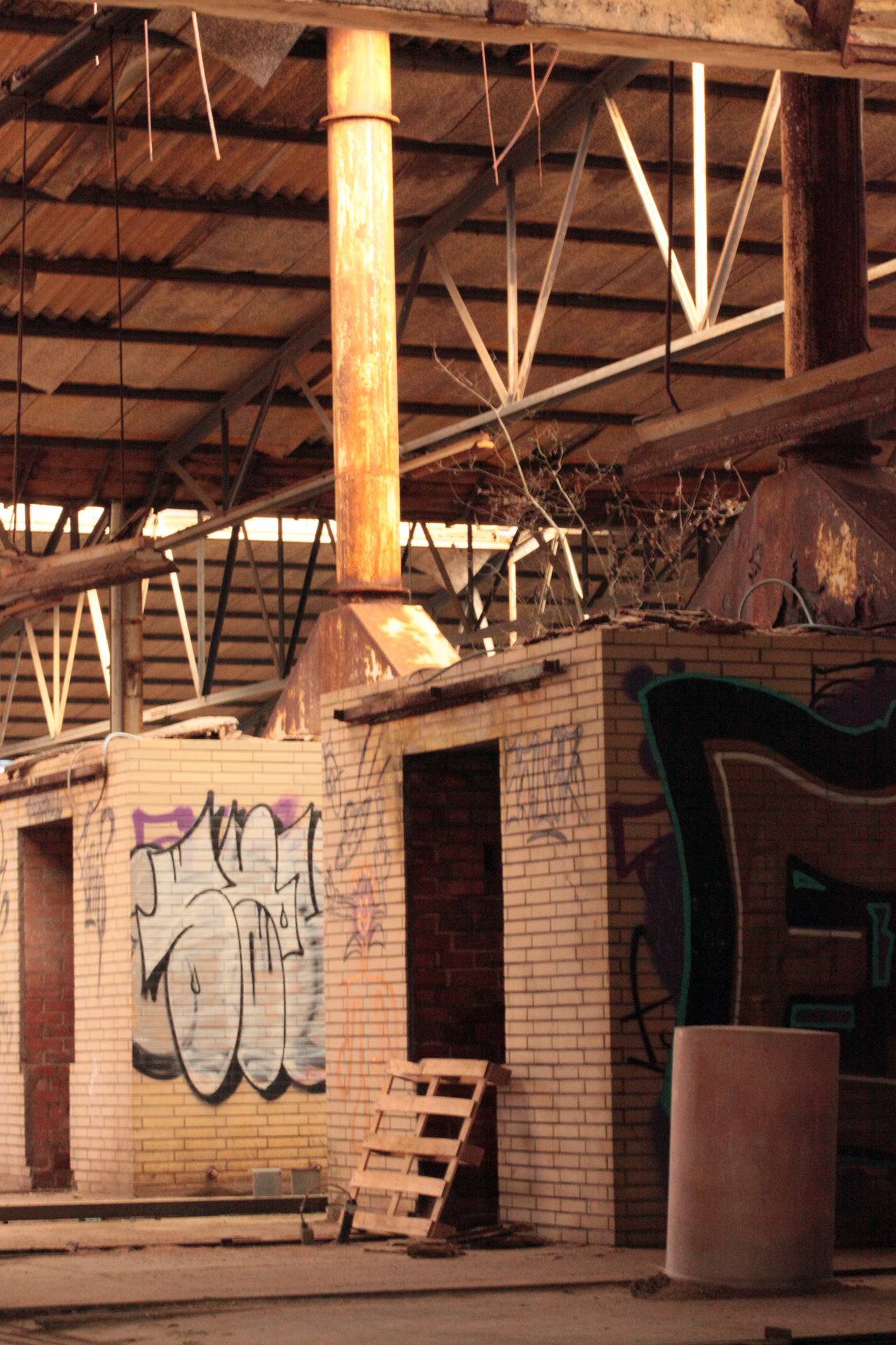 Dekoratives Bildelement