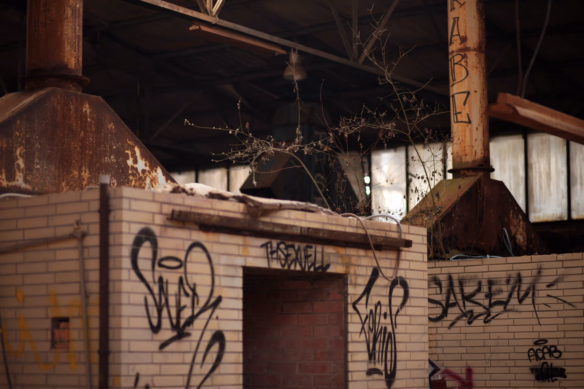 Dekoratives Bildelement