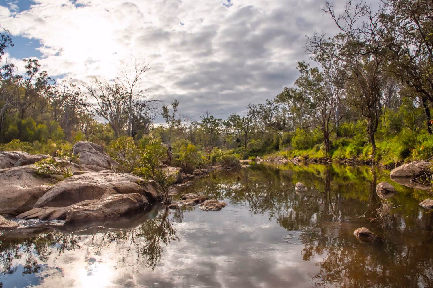 Calm river with rocks and trees reflecting under a cloudy sky in a natural forest setting.