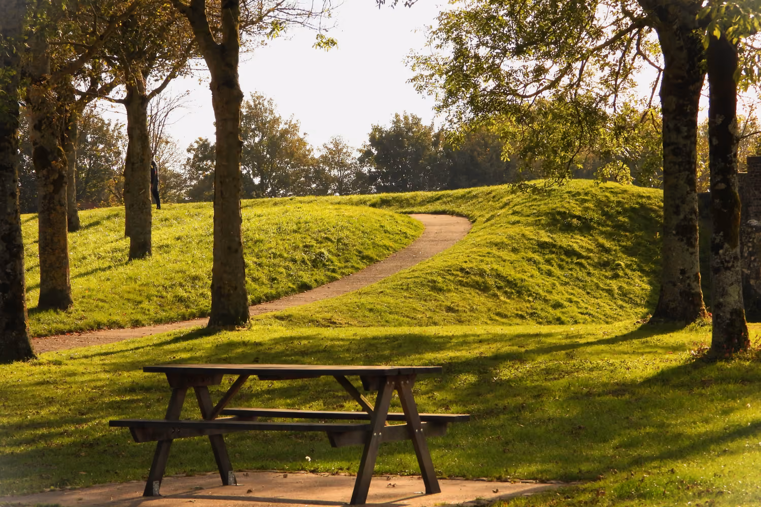 Public parkland and community open space managed by local government.