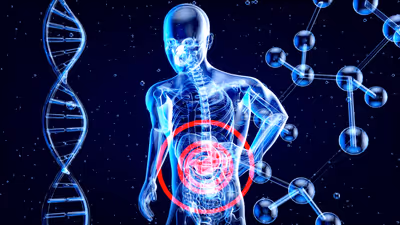 Gut health support representing gut-brain and immune interactions