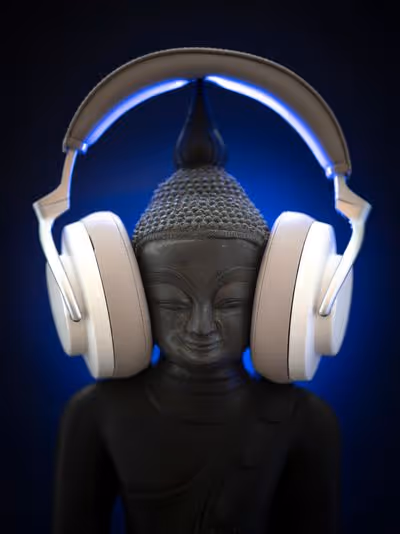 Regulated nervous system symbolized by serene meditation imagery