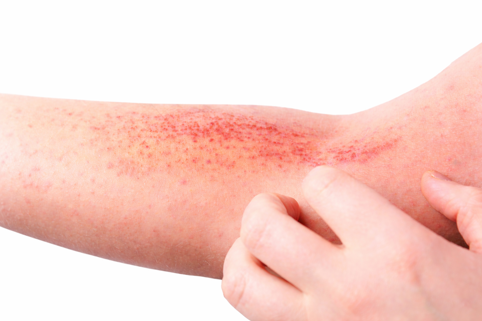 [background image] variety of pharmaceutical products on display (for a pharmacy)