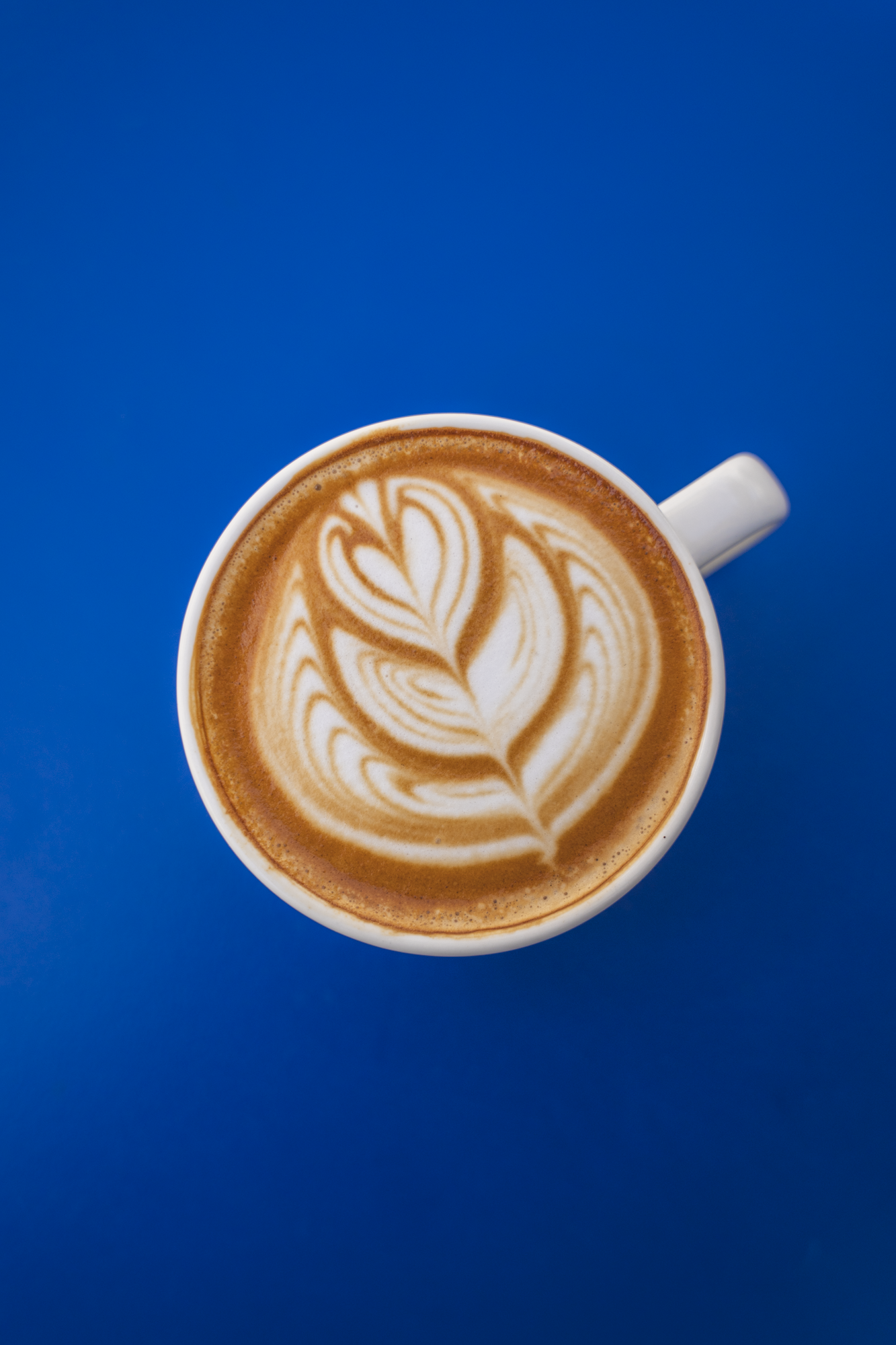 flat-white_4
