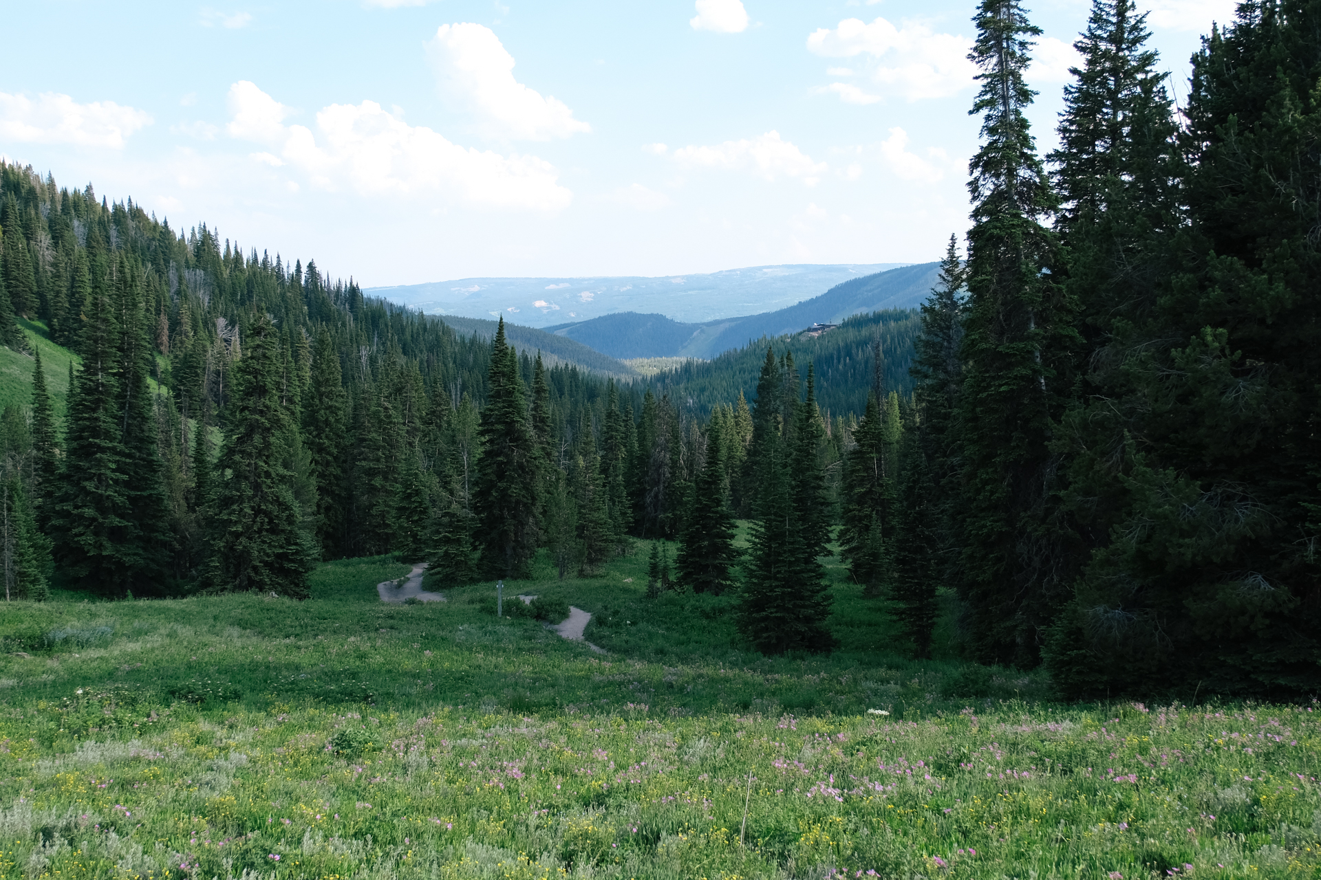 Kindling Design Co. Big Sky, Montana