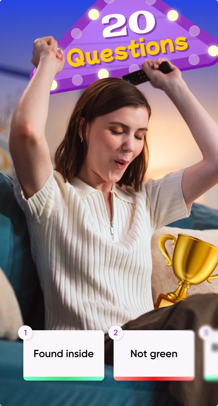 Play the iconic game of 20 Questions against an AI riddlemaster!