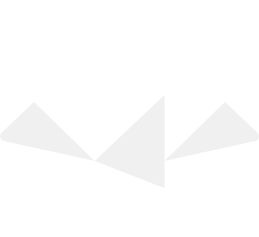 Castofly geometric bird logo and brand identity