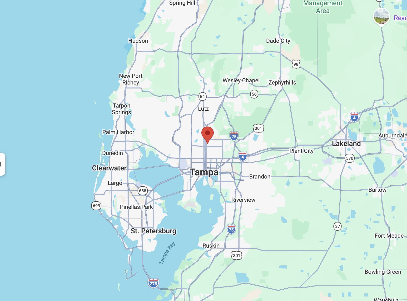 A map of tampa with a red marker.