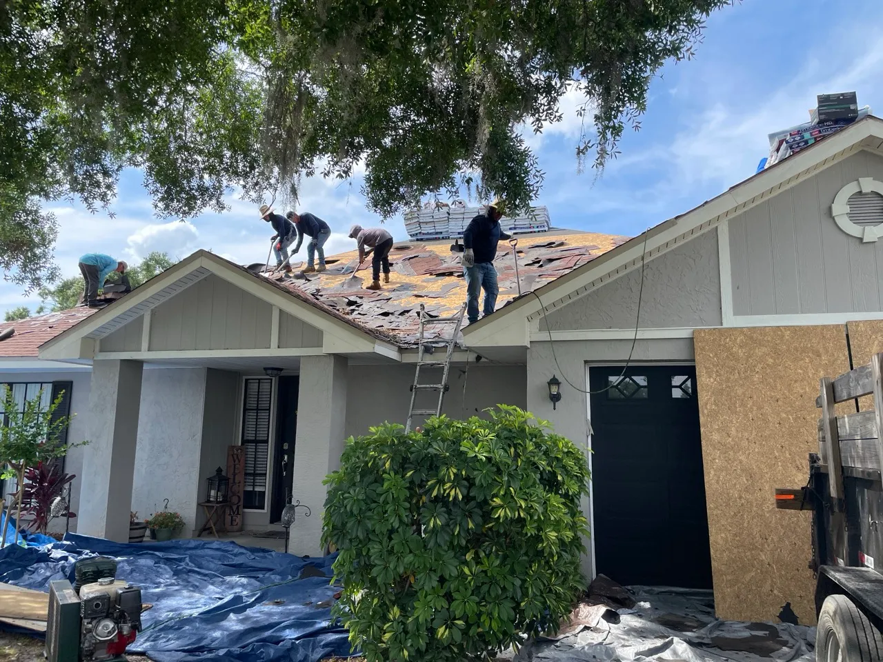 Five workers removing old shingles from a house roof under a tree on a sunny day.
