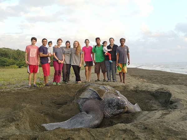 Students with a leatherback sea turtle