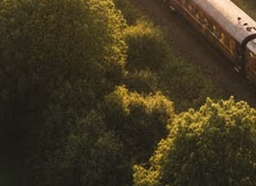 Elegant train traveling through sunlit fields, symbolizing corporate rail experiences.