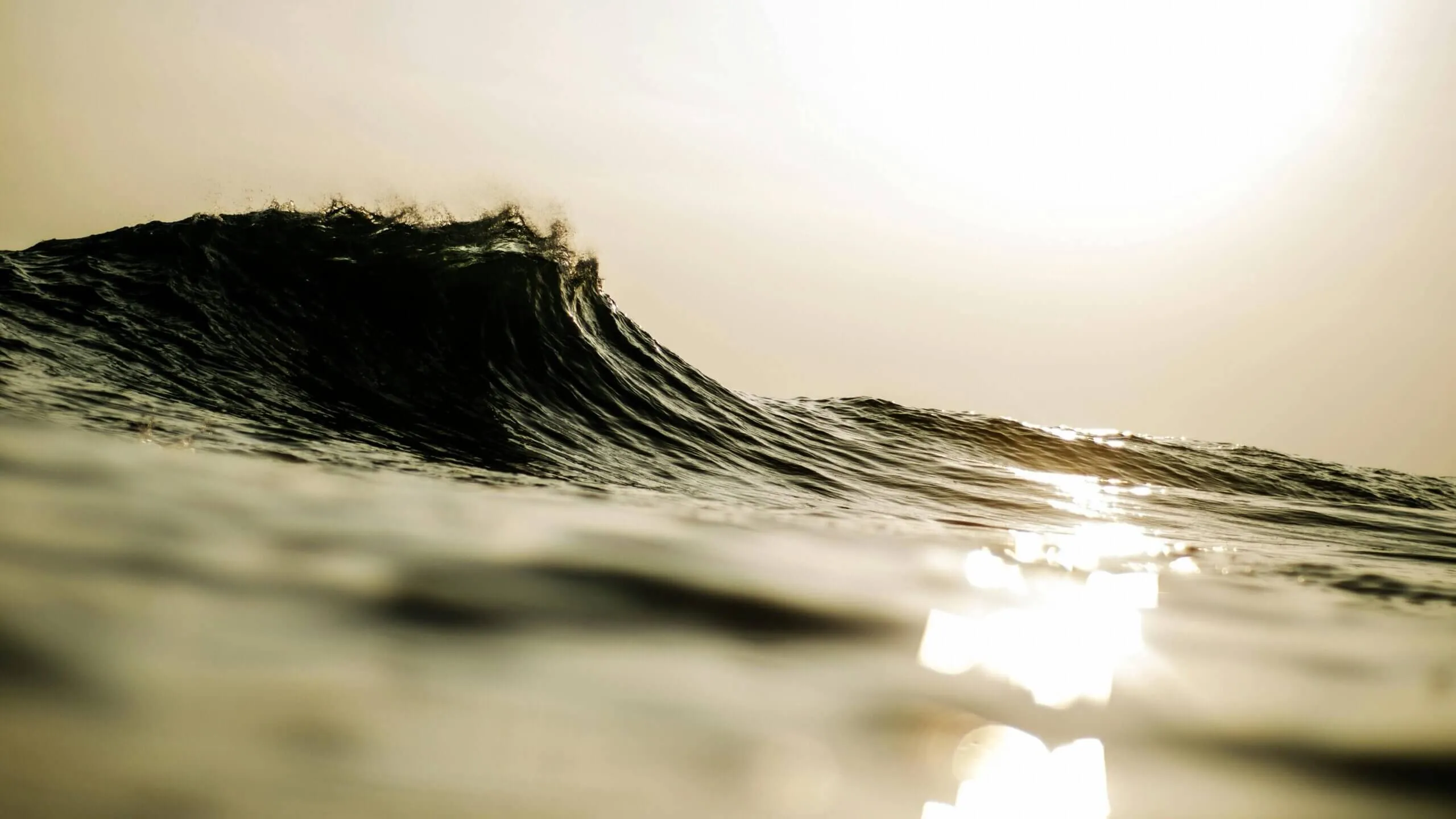 Swell Direction Explained: Why Your Surf Spot is Never the Same Twice