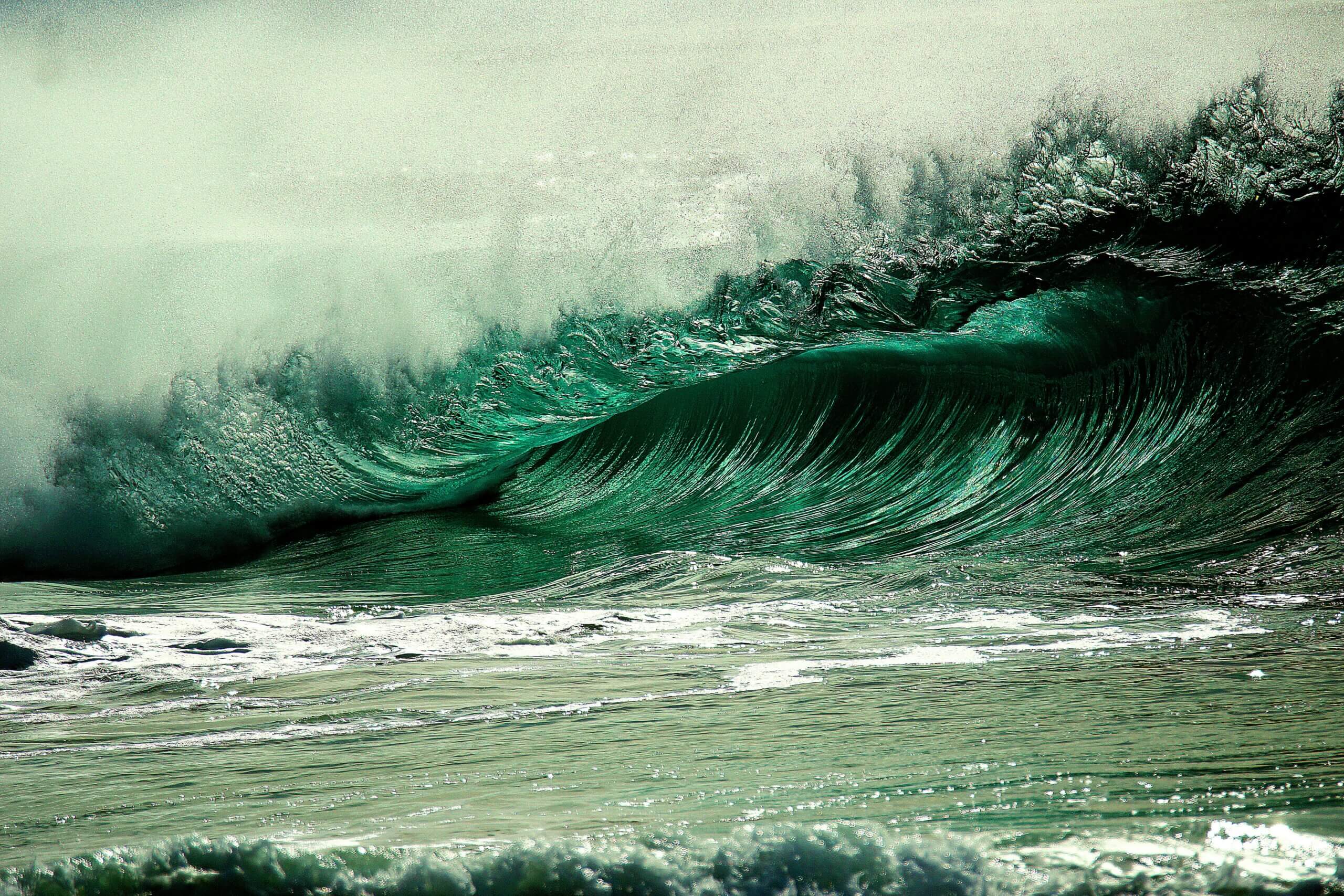Surfing With Your Shadow: What the Ocean Mirrors Back About You