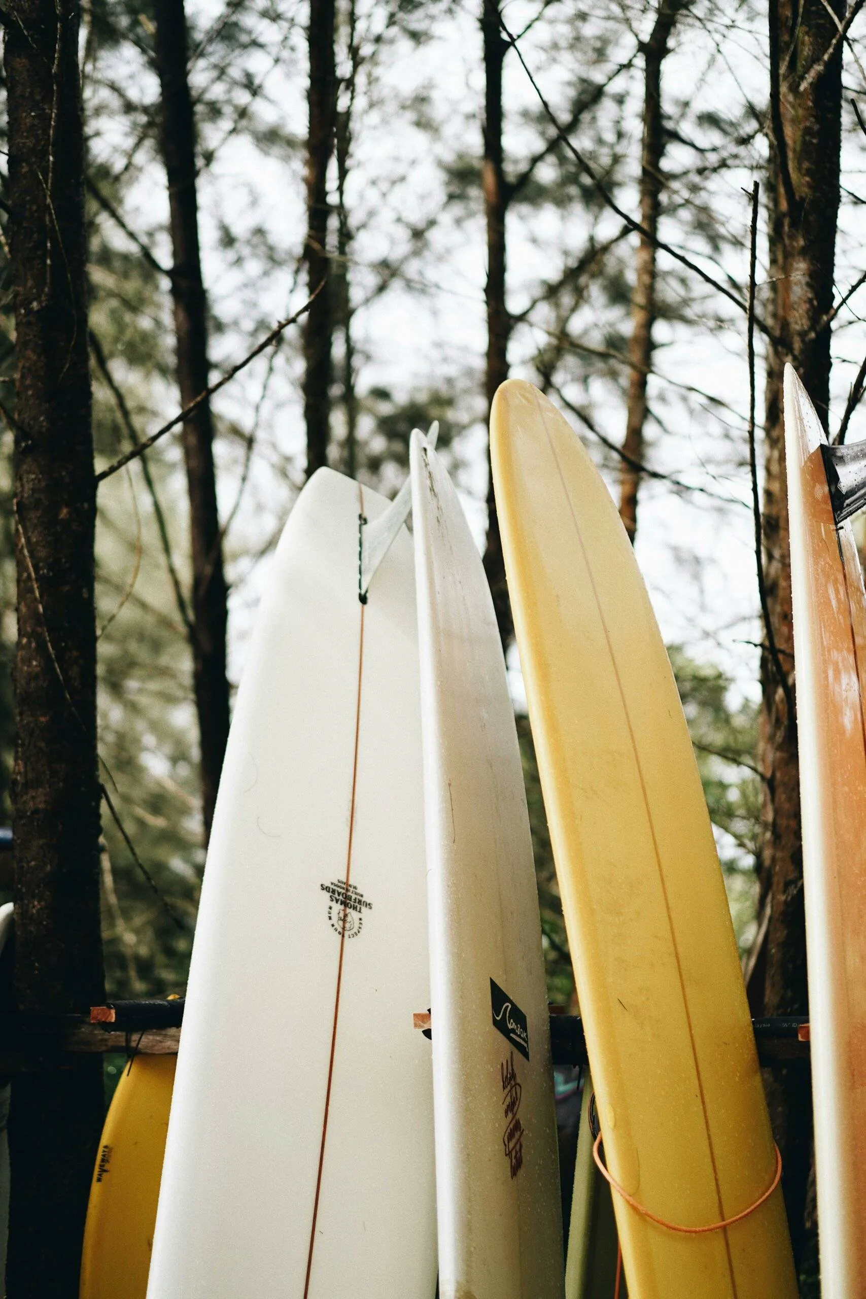 Finding the Perfect Surfboard: Matching Your Board to Your Body Type and Skill Level