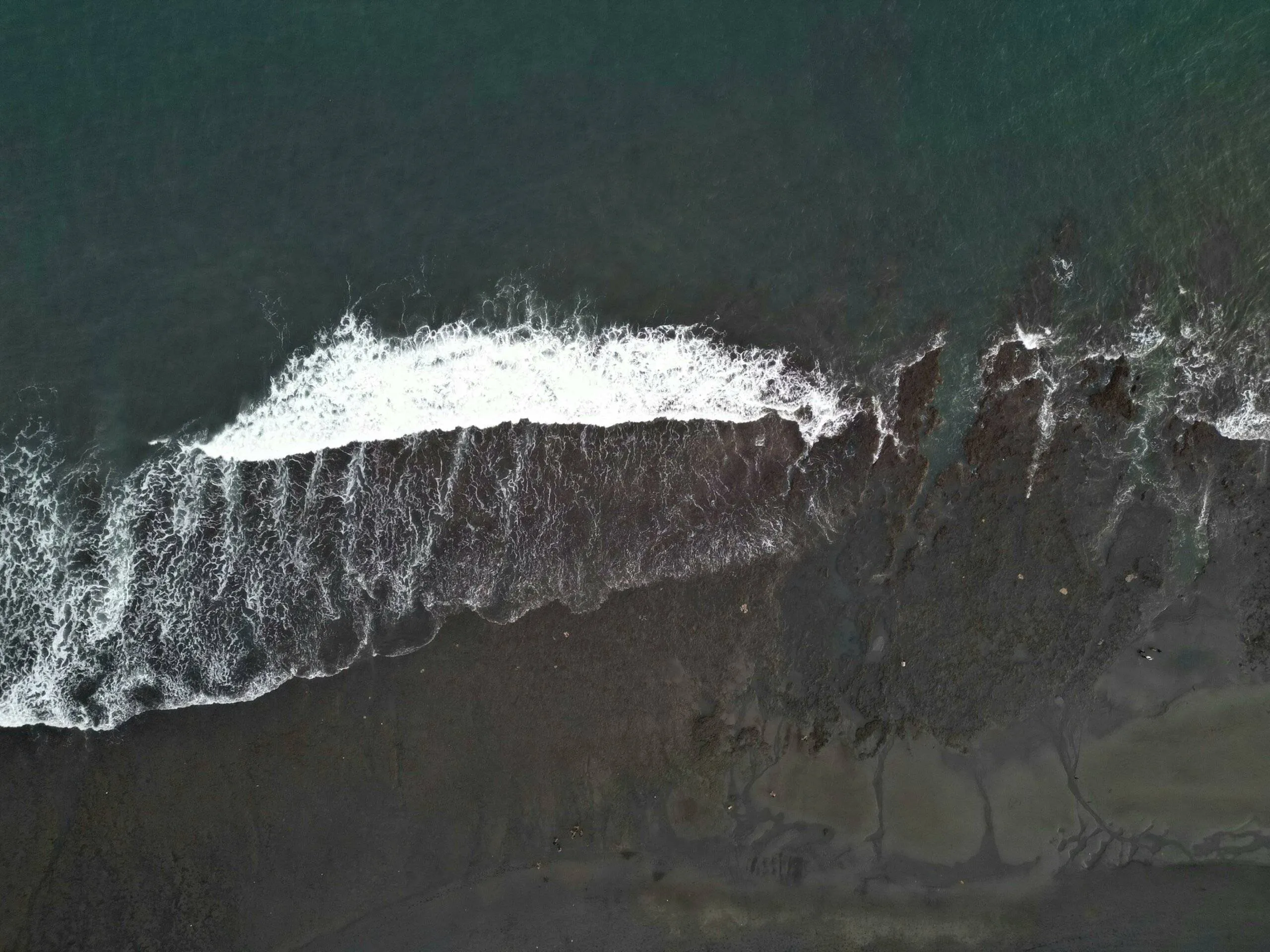 Surfing Bali at Low Tide: Gems Unveiled