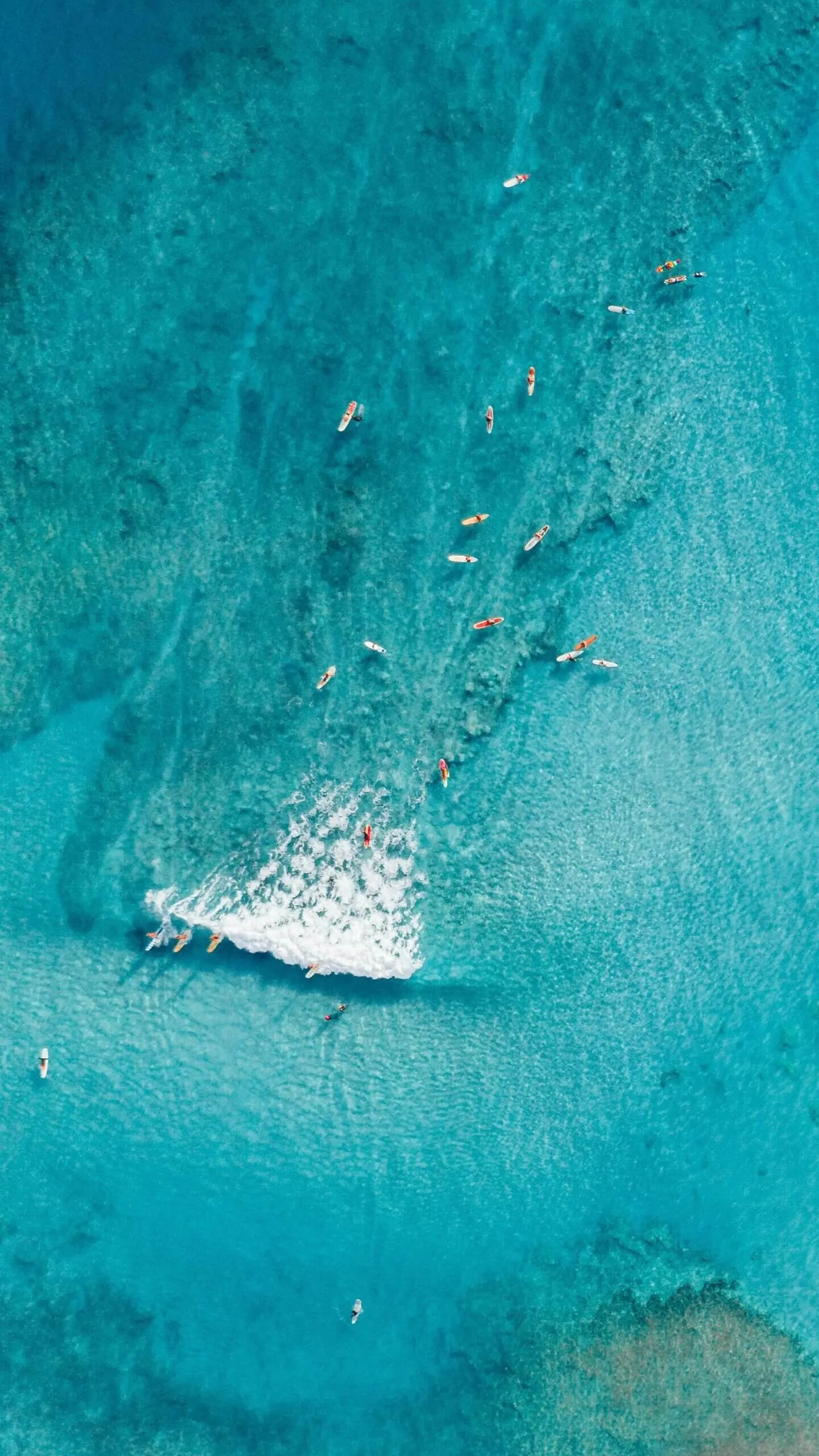 Wave House Bali: Real Guest Stories & What They Learned in Their First Week