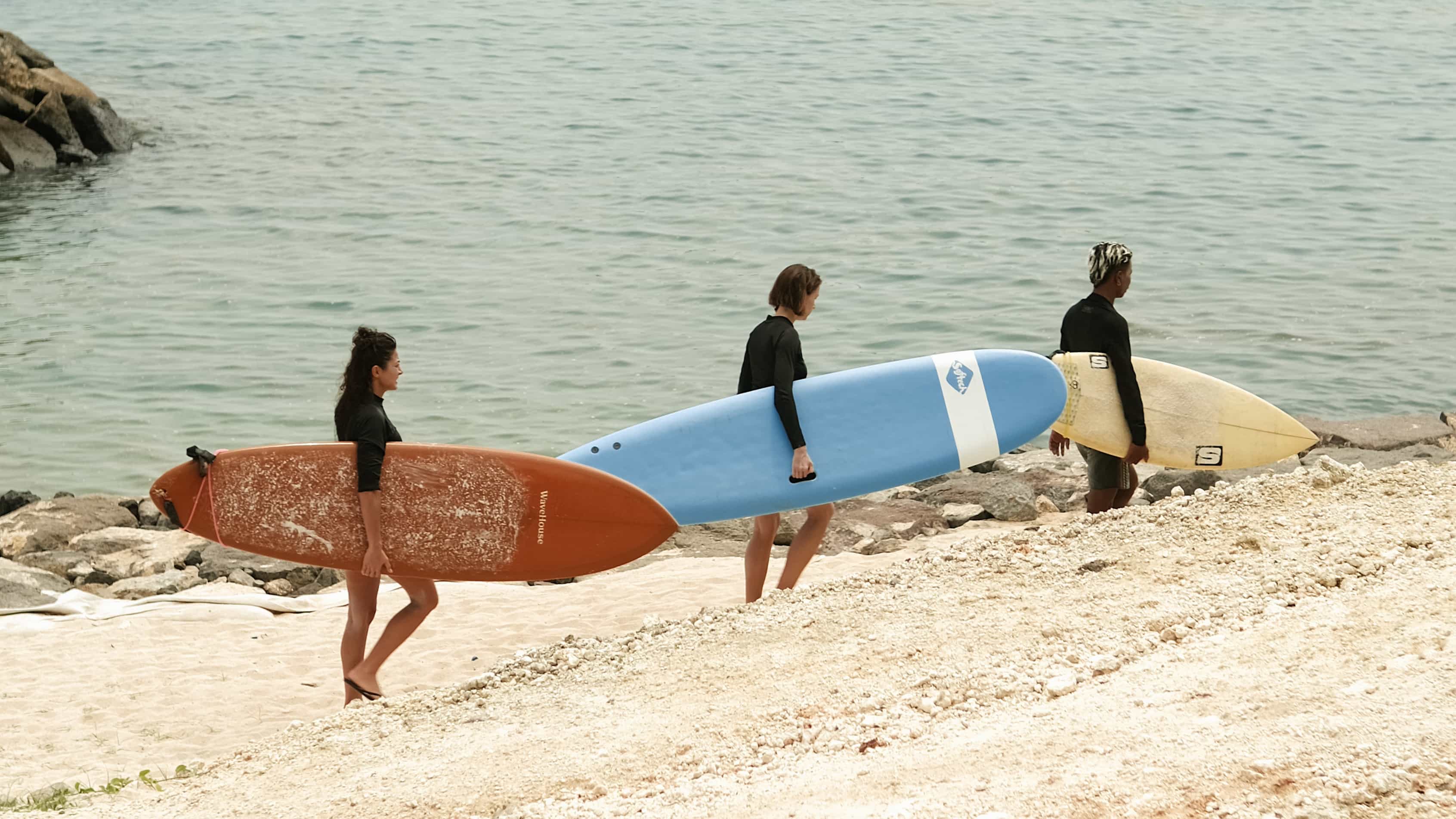 Surf Training: The Complete Guide to Exercises, Workouts and Fitness for Surfers