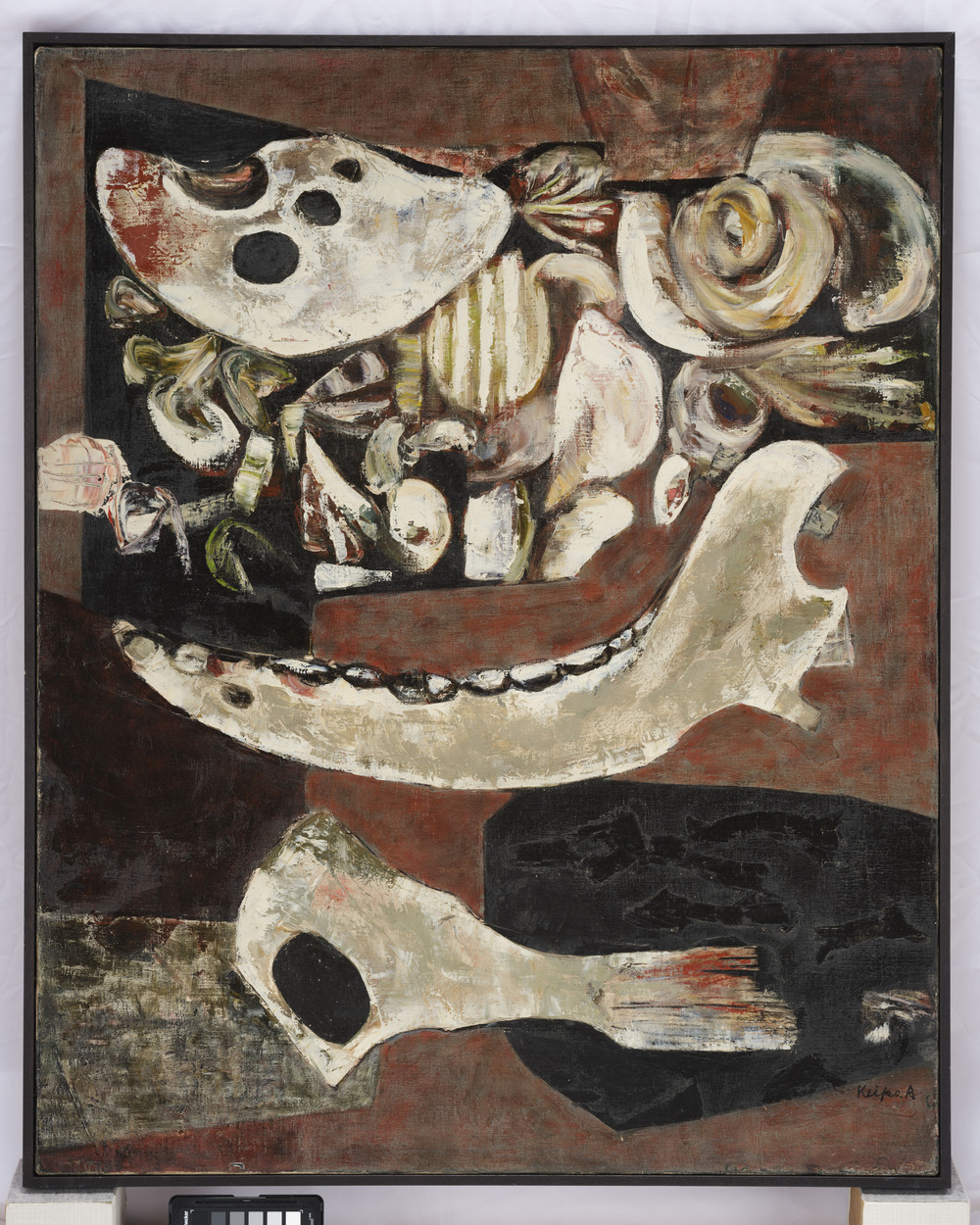 赤穴桂子「埋もれた貝と骨」1954年 Oil on canvas