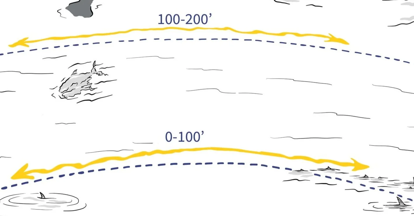   From 100 to 200 feet, we can see fish relatively easy, as well as shadows, wakes, tails, and more.   