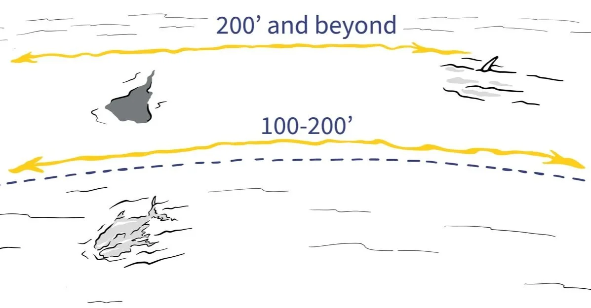   At 200 feet and beyond, we may only be able to see wakes, nervous water or get inexplicit, fleeting glimpses of fish.  