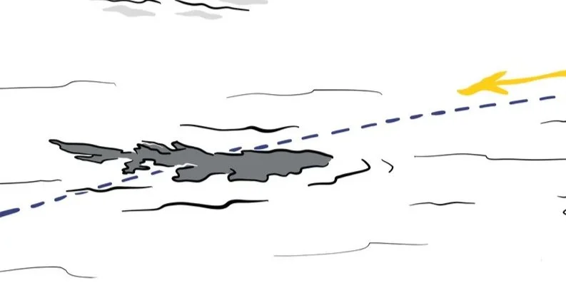   False alarm: shark!  