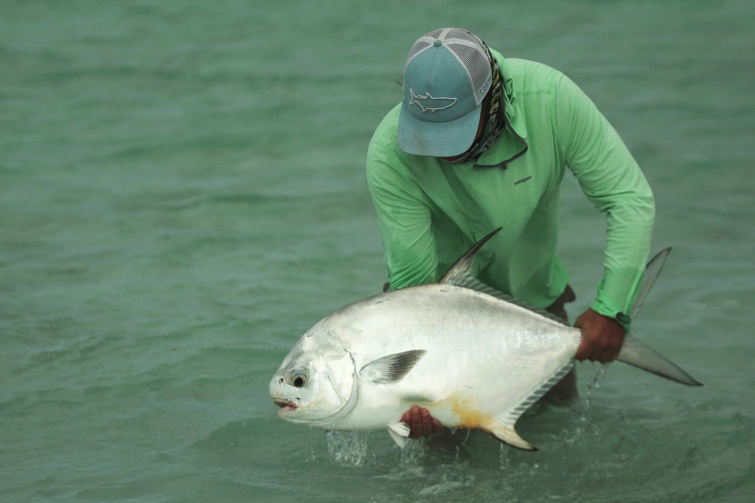 This permit was an especially wiley opponent with plenty of spirit to spare which she proved by her sprint to the horizon after release.