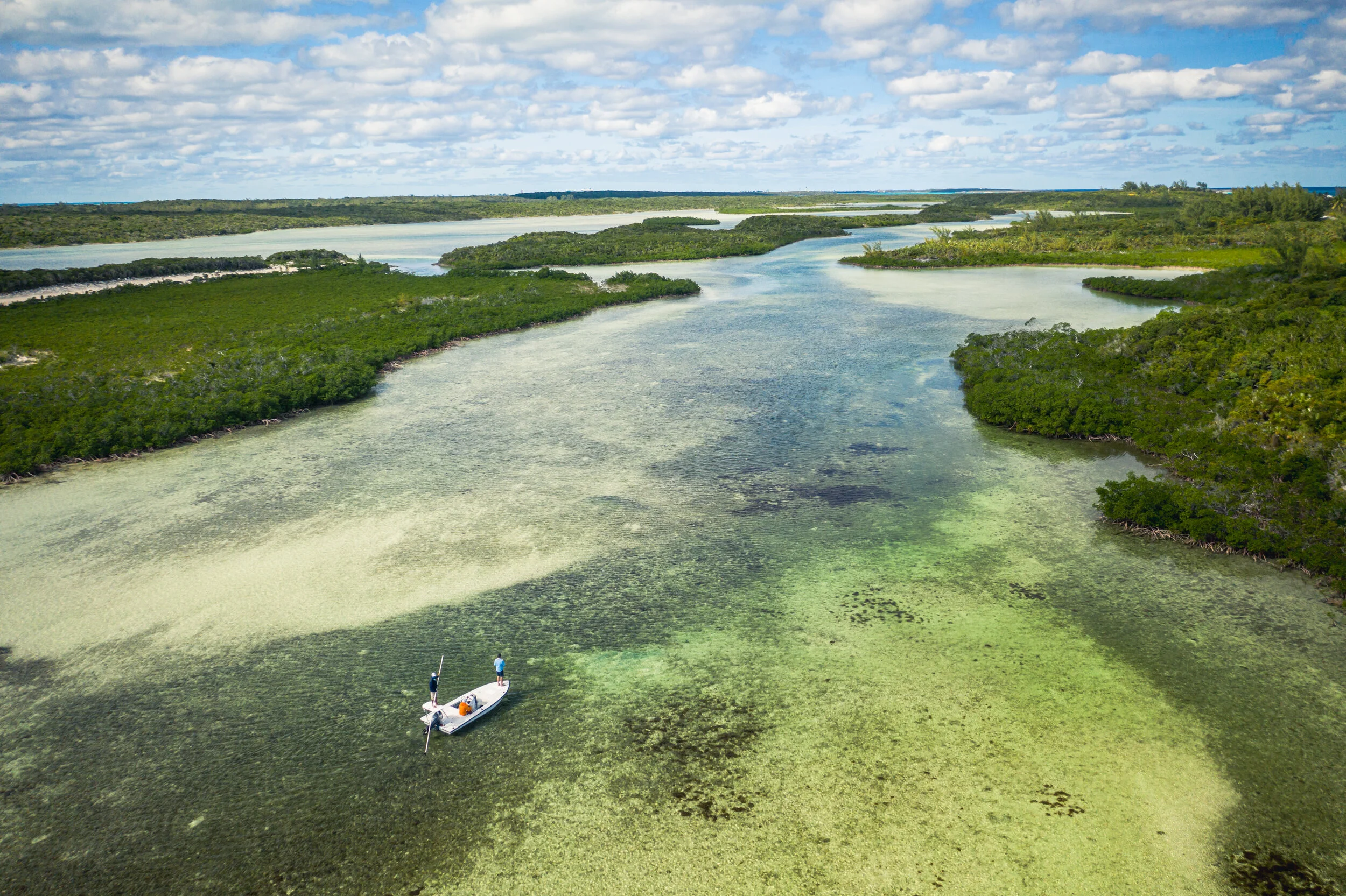 Mangroves, mud, limestone and turtle grass. Stay alert, that big fish might cross your bow in here.