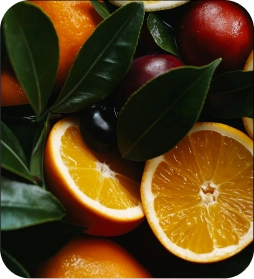 Oranges