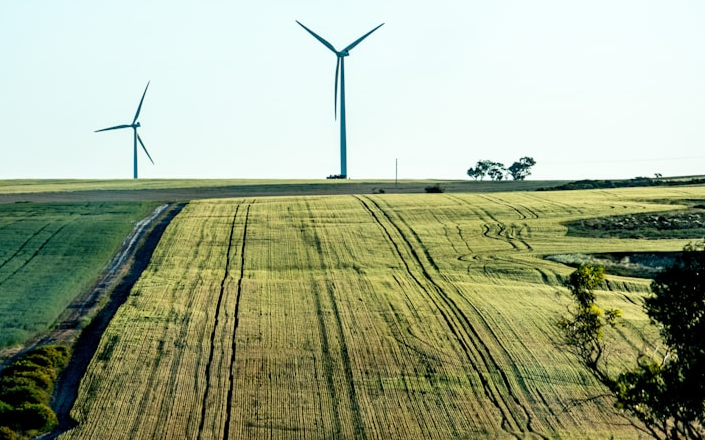 Why they matter in Australia