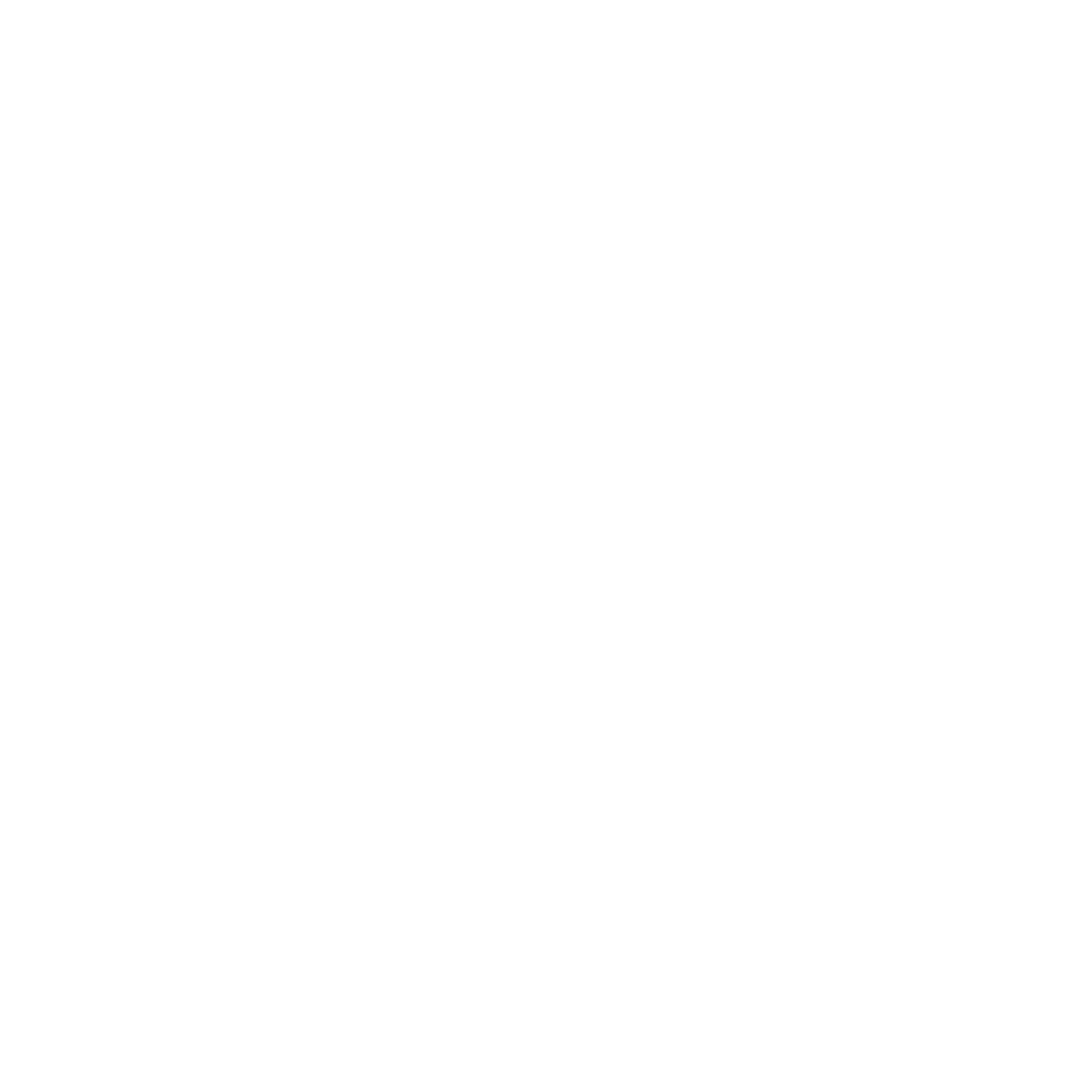 Icon of a medical stretcher with a canopy and large wheels.