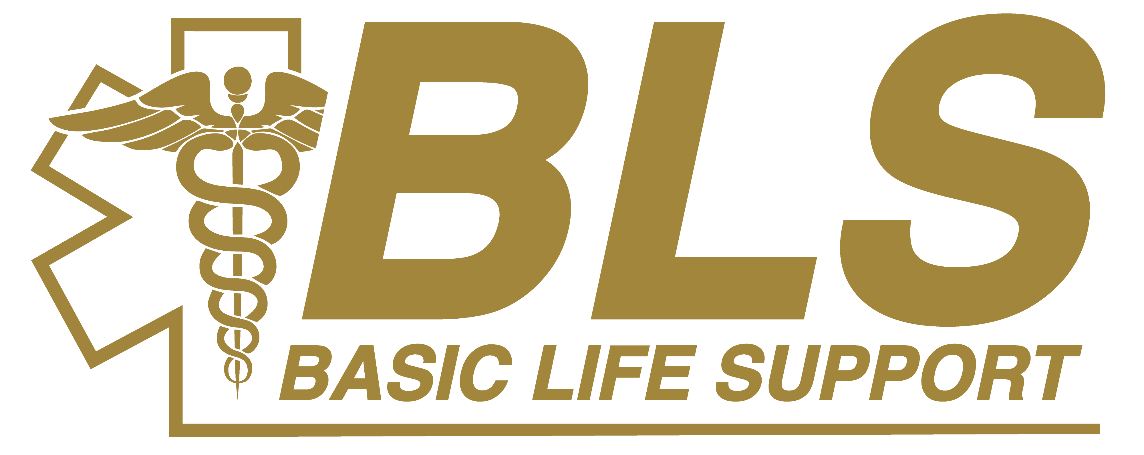 BLS logo with caduceus symbol and text 'Basic Life Support' in gold.