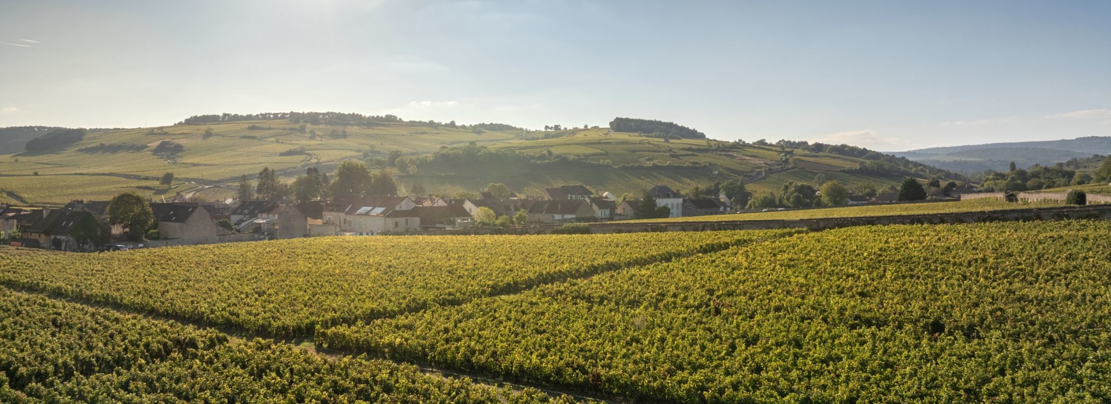Château la Commaraine