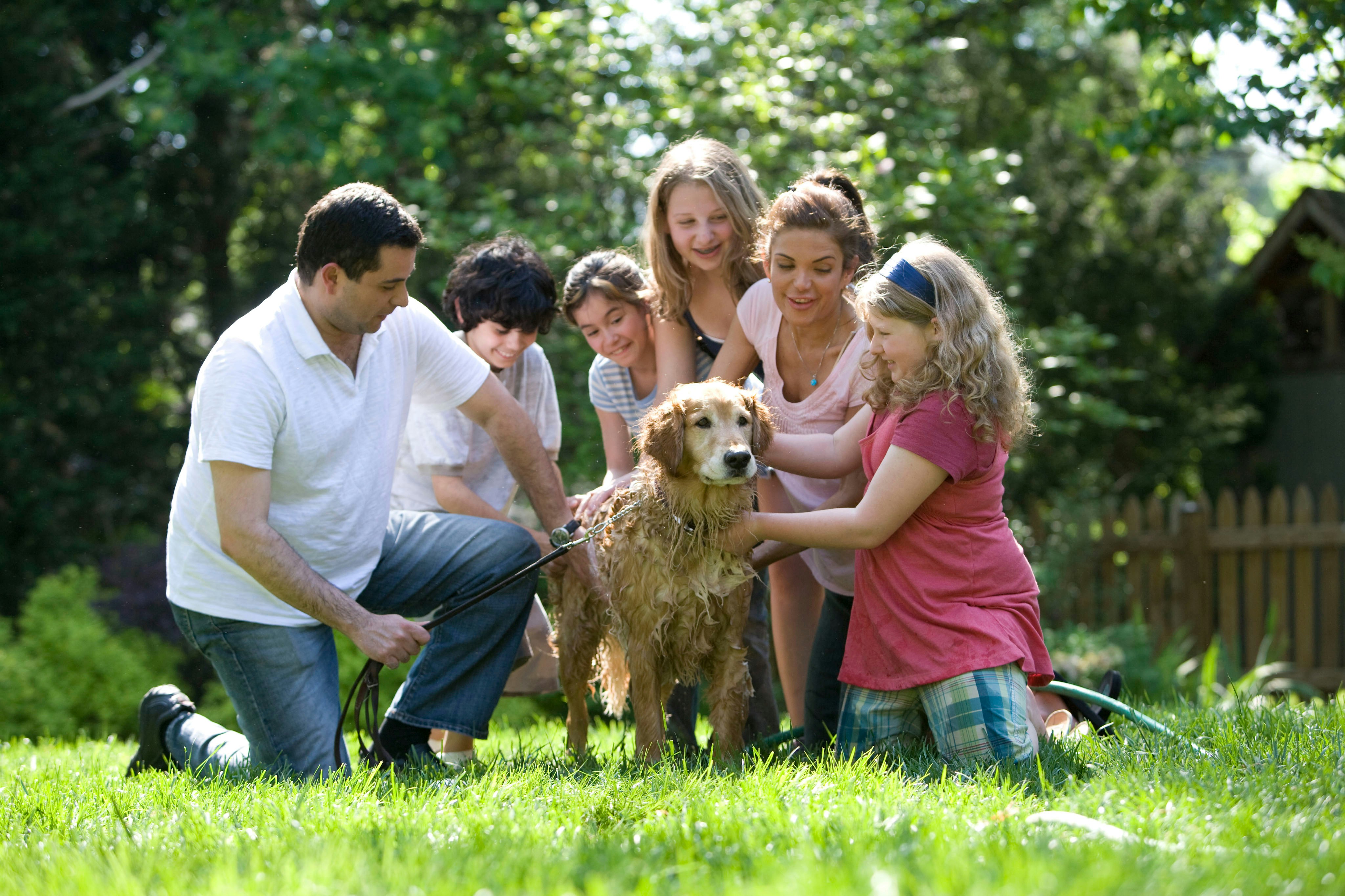 Une famille réunie à l'extérieur câline et caresse joyeusement un Golden Retriever assis sur l'herbe.