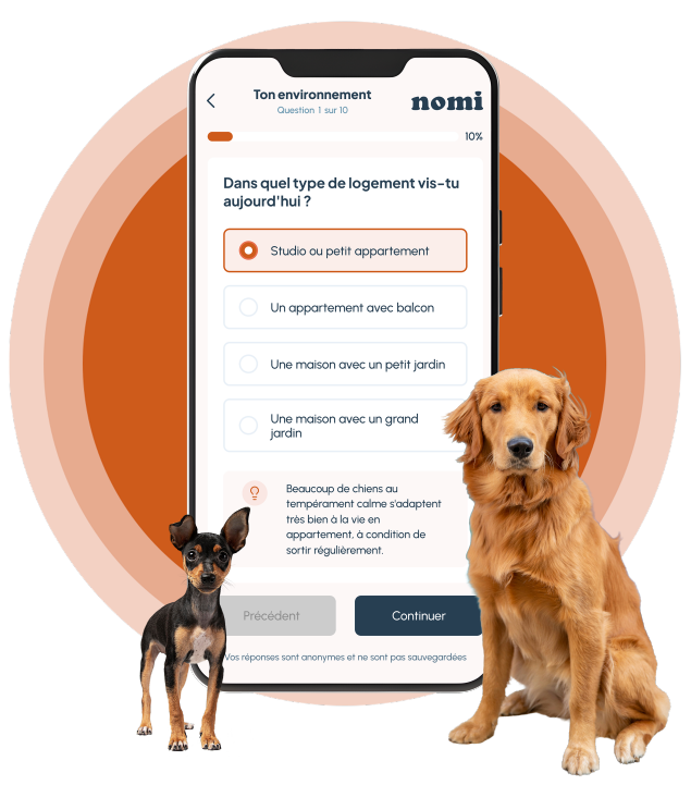 Un smartphone affichant un questionnaire de l'application Nomi sur le logement, entouré d'un Golden Retriever et d'un petit Pinscher sur un fond orange circulaire.