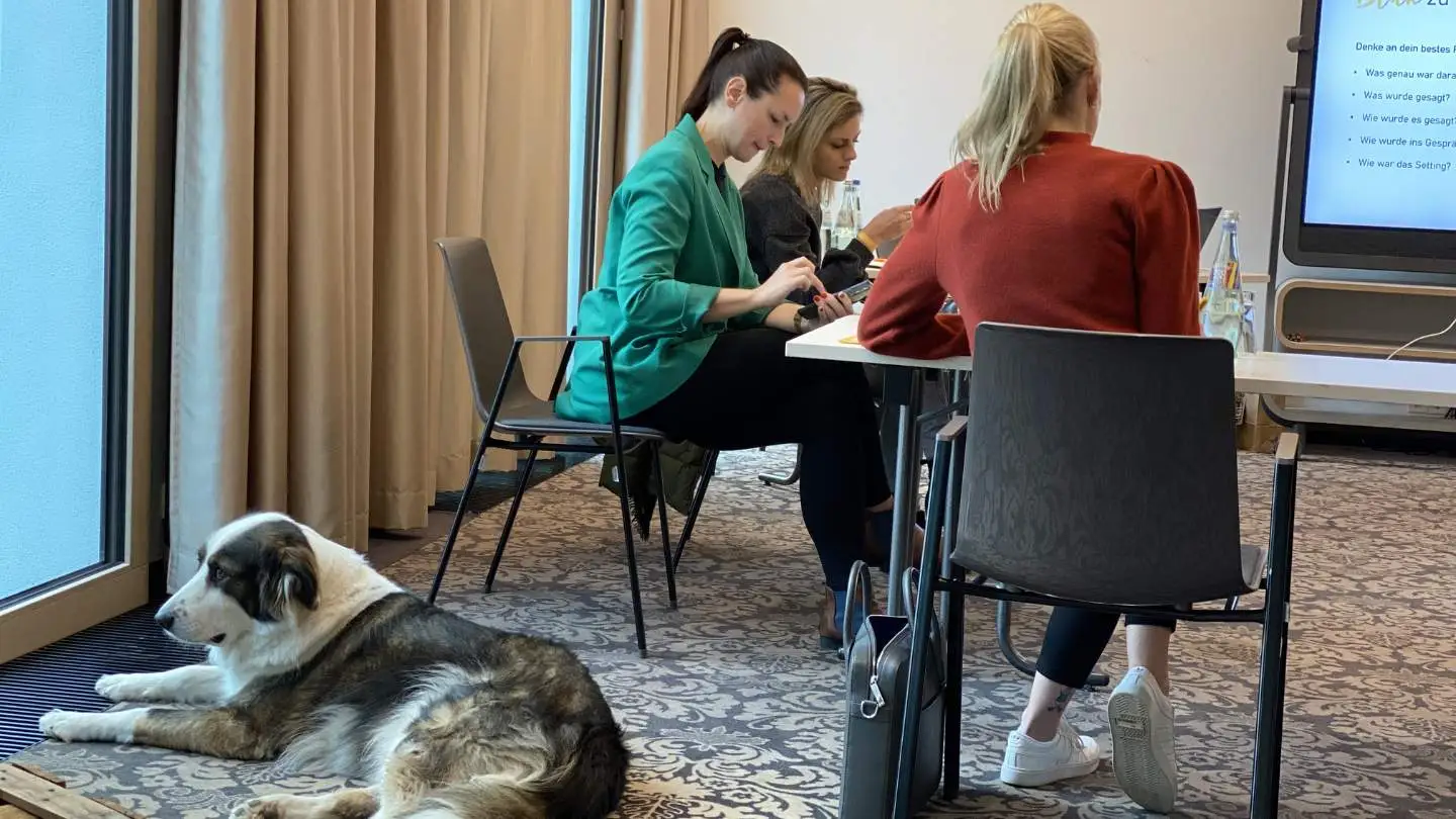 3 Personen sitzen auf Stühlen in Stillarbeit während eines Workshops.