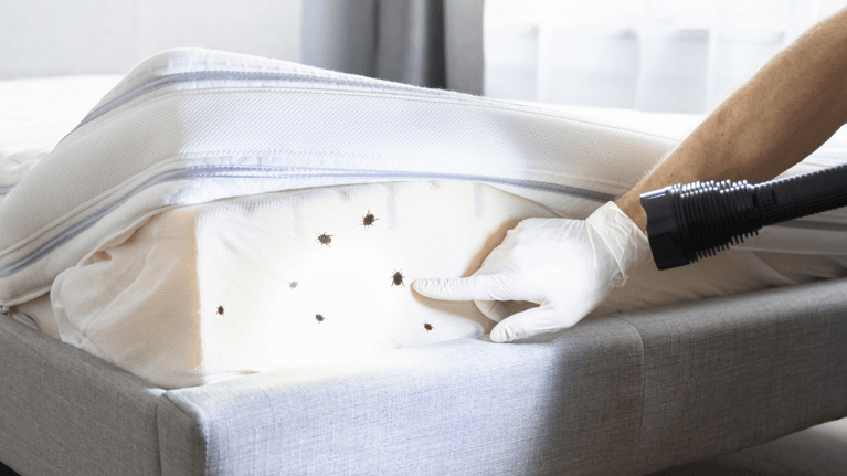 image of store helping customers (for a home goods store)