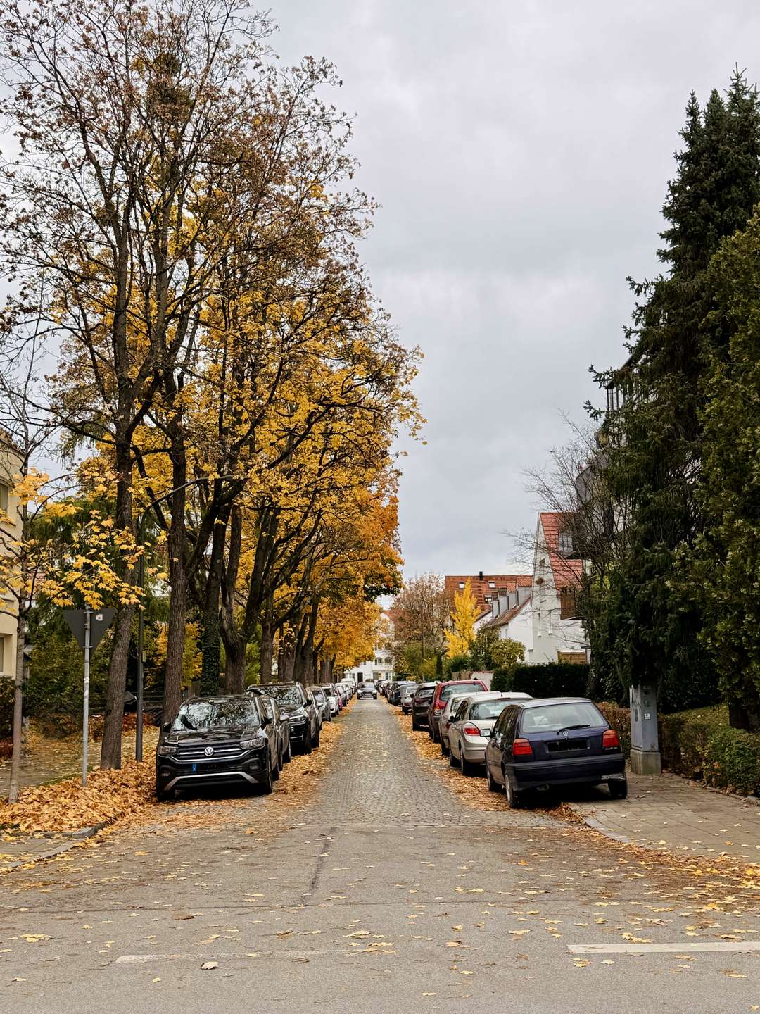 IMG_2836 bearbeitet 1