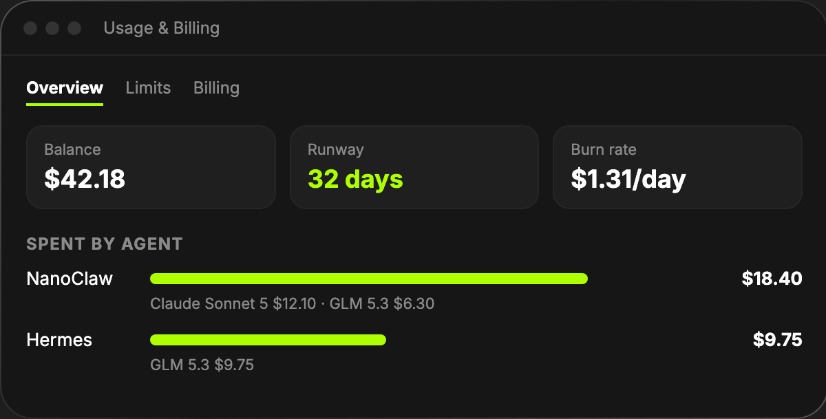 Usage & Billing with balance, runway and spend by agent and model