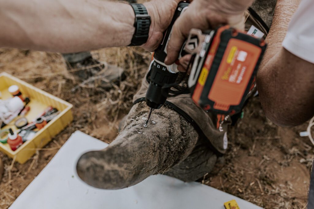 Installation of Rhisotope technology