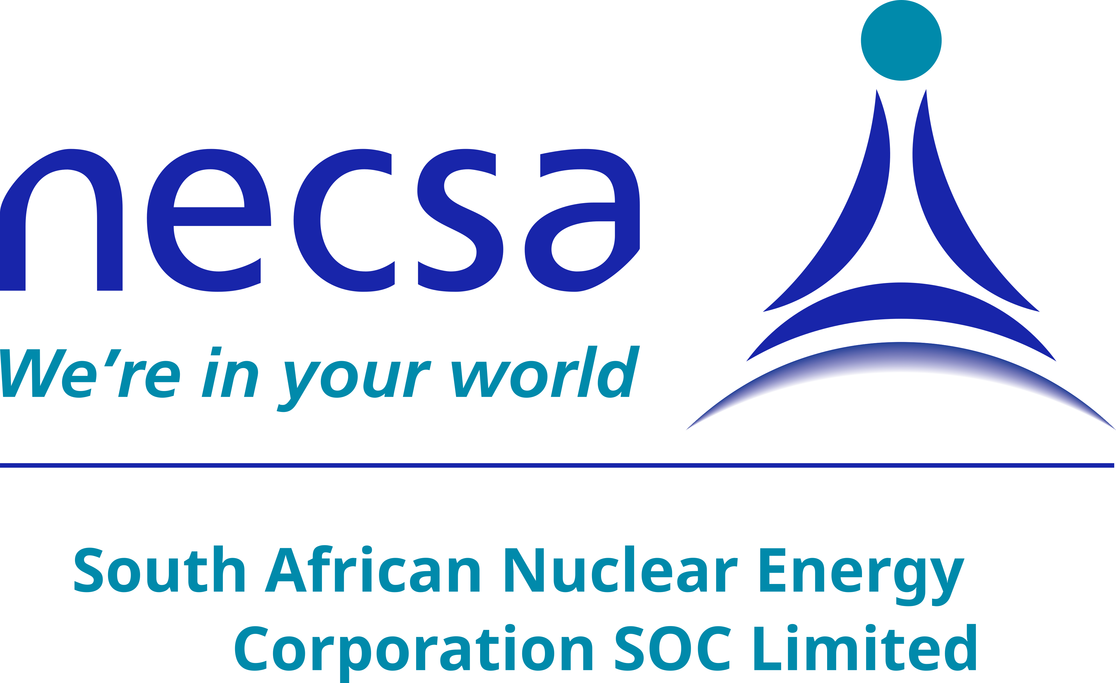 NECSA logo