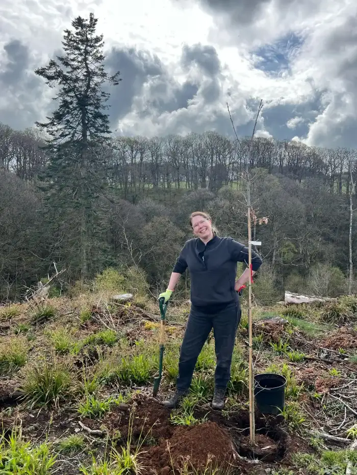 Expansive forest landscape with bare trees awaiting spring growth.
